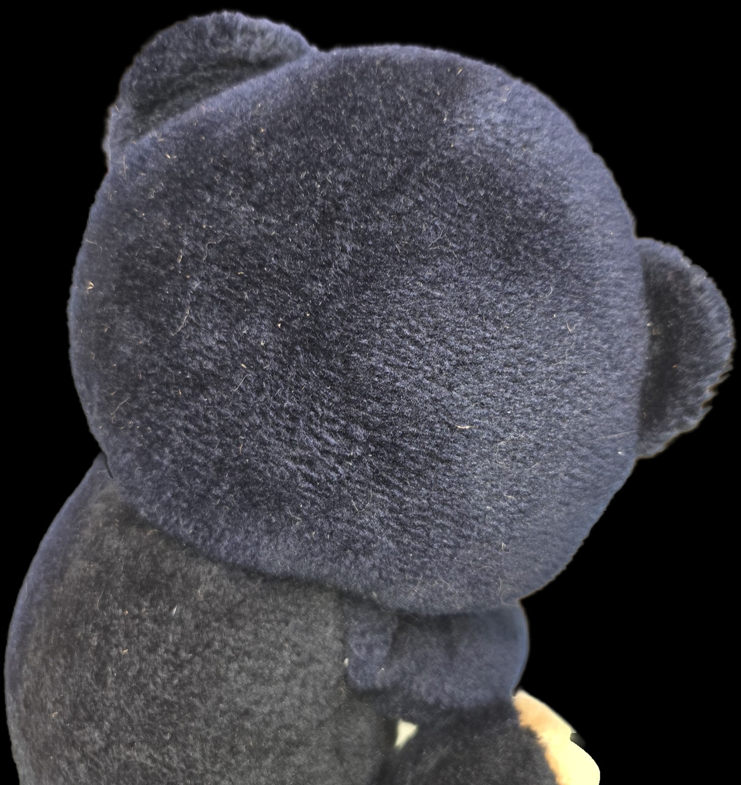 Vintage Animal Fair Black Teddy Bear Plush Stuffed Animal Tan Face Ears Sits 034 Item image 6
