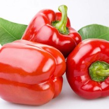 USA Seller California Wonder Pepper Seeds - $15.58