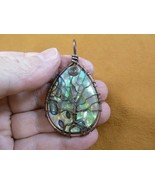 (j471-16) Paua sea shell + Mother of Pearl copper wired Tree of Life pen... - $41.49 CAD