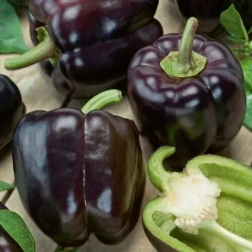 25 Seeds Black Bell Peppers Vegetable Sweet Edible Food Garden - £5.75 GBP