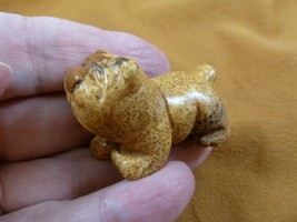 (Y-DOG-EB-565) Tan BULLDOG bull dog gemstone carving FIGURINE stone love... - $14.01