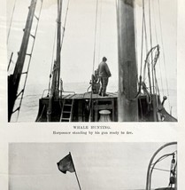 Whaling Dead Whale At Sea 1926 Nautical Antique Print Whale Hunting DWW4B - £15.74 GBP