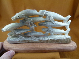 Whale-w51 Humpback 8 Whales of shed ANTLER figurine Bali detailed carvin... - $306.44
