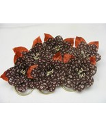 Vintage Handmade Napkin Rings Set of 6 Brown w White Flower Orange Leaf #23 - €16,87 EUR