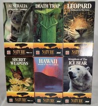 Lot Of 6 VHS Time Life Nature Video Ice Bear Death Trap Leopard Australia Hawaii - £21.68 GBP
