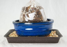 Oval Blue Stain Glazed Shohin Bonsai, Pot + Soil + Tray + Rock + Mesh Kit 5&quot;/6&quot; - £19.44 GBP+