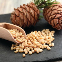 LKS Pine Nut Tree Seeds 20 Edible Organic Home Garden - $231.44 MXN