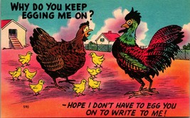 Comic Barnyard Chickens Why Do You Keep Egging Me On? Linen Postcard Unused UNP - £3.01 GBP