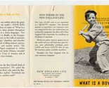 What is a Boy Brochure New England Life 1950 - £12.66 GBP