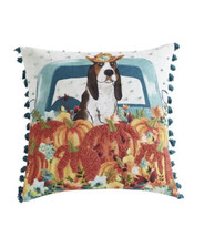 2Pioneer Woman Tasseled Throw Pillow Harvest Dog Charlie Truck Pumpkin 18&quot; Decor - £27.78 GBP