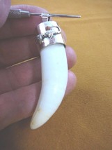 (G968-19) Large 3&quot; Gator Alligator Tooth Teeth 925 Silver Cap Gators Pendant - £157.45 GBP