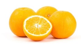Fresh 5 Dream Navel Orange Seeds for Garden - €6,88 EUR