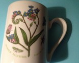 Portmeirion mug thumb155 crop