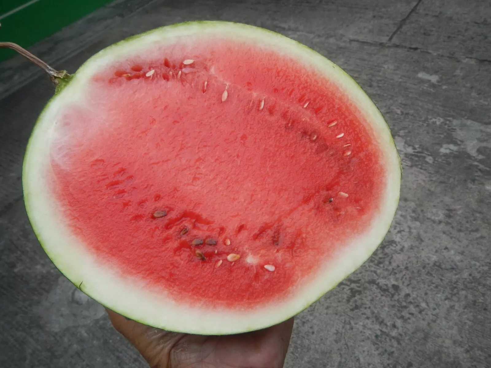 50 Sugar Baby Watermelon Seeds Small Size Huge Flavor Heirloom Watermelon Fresh  - £4.74 GBP