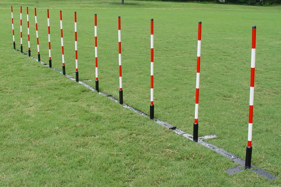 Primary image for Set of 12 Weave Poles, Adjustable Spacing, Professional Design w/ 2 carry bags