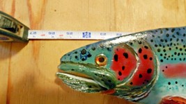 Rainbow Trout, 2021 NEW BODY DESIGN! For Sale Left or Right Face 26inch - £114.99 GBP