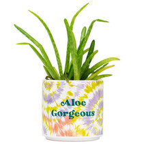 Tie Dye Planter (Small) - Aloe Gorgeous - $24.39