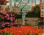 Tulips and Hydrangea Jewel Box Forest Park St. Louis MO Postcard PC575 - $4.99