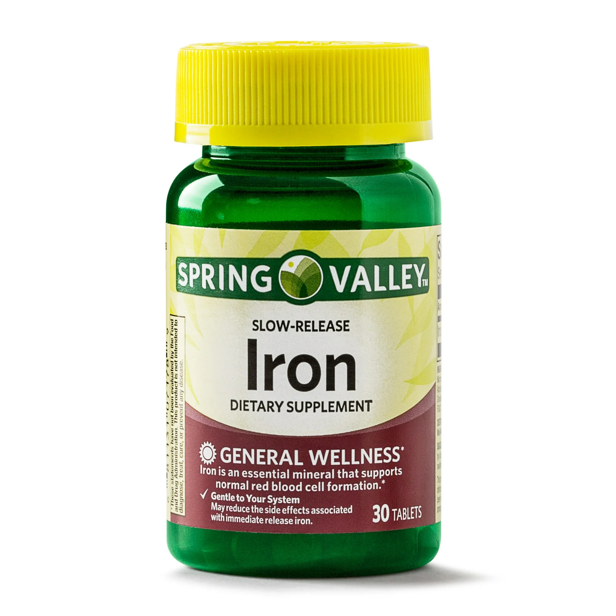 Spring Valley Slow Release Iron General Wellness Tablets | 45 mg | 30 Count