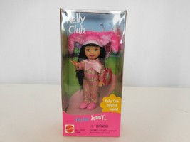 Barbie Kelly Club Jester Jenny Kelly Club  Poster Barbie Family New in Box  - £12.67 GBP