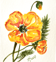 Fire Poppy - Original Wall Art Matted Flower Watercolor Painting 8x10in - £39.16 GBP