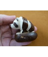 (TNE-BEA-PA-210c) Giant Panda BEAR TAGUA NUT Figurine Carving Vegetable ... - £12.68 GBP