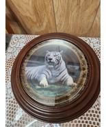 Framed Bradford Exchange Plate  &quot;Solemn Sovereign&quot; Siberian Tiger 1994 N... - $25.50