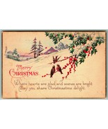 Merry Christmas Cabin Scene Holly Sparrows Poem 1925 DB Postcard I7 - $9.58 CAD