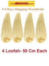 4 Jumbo Natural Loofah Sponge Organic Egyptian Loofah Plant Exfoliate Bath Loofa - £49.59 GBP