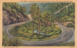 Scene Of Newfound Gap Highway Great Smoky Mountains National Park Postcard D54 - £2.35 GBP