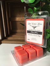 Handmade FRUIT SLICES Soy Blend Wax Melts 2.75 Oz Candle Warmer Cube Tarts - £5.17 GBP