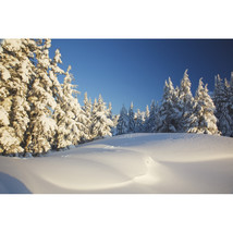 Winter Scene Mount Hood Oregon Cascades Oregon USA Poster Print - $41.46