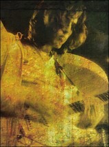 Pink Floyd David Gilmour onstage Fender Stratocaster guitar 8 x 11 pin-u... - £3.31 GBP