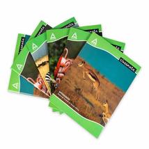 Item image 15