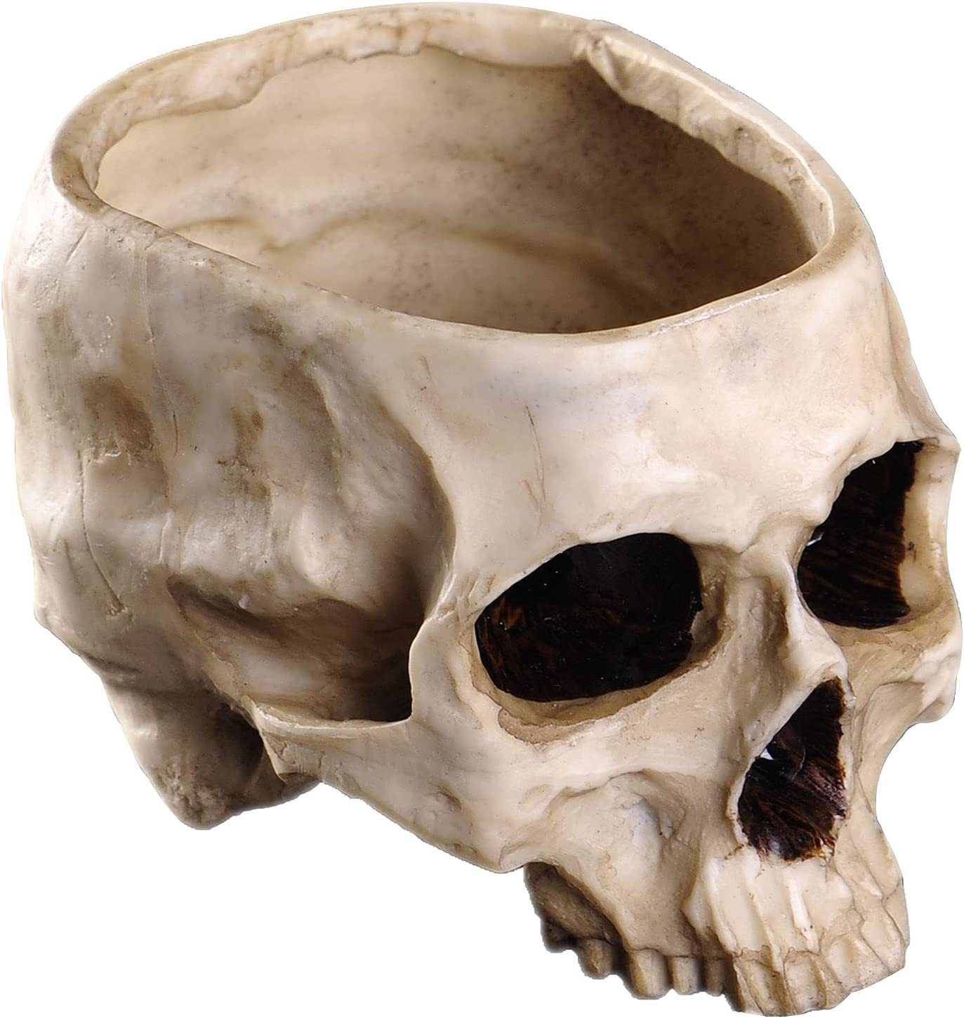 Ibwell Modern 6 Inch Large Funny Resin Skull Shaped Head Design Flower Pot - £29.47 GBP