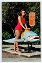 Weeki Wachee Florida Postcard Swimsuit Mermaid Retired Adolph Dolphin Chrome - £10.09 GBP