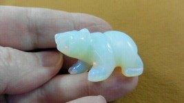 (Y-BEA-WA-600) little White Opalite BEAR carving FIGURINE gemstone I lov... - $14.01
