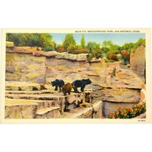 Vintage Postcard, Bear Pit, Breckenridge Park, San Antonio, Texas - £7.85 GBP