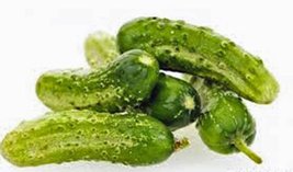Cucumber, National Pickling, Heirloom, Organic 500 Seeds, Great for Pickling - £12.02 GBP