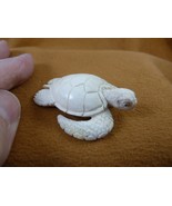 (TURT-SEA-W102) little Sea Turtle turtles shed ANTLER figurine Bali deta... - $932.75 MXN