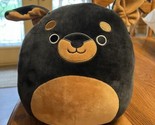 MATEO Rottweiler Black Brown DOG Puppy Squishmallow Plush Toy HTF - $24.70