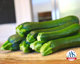 Commander Hybrid Zucchini Seeds SS - $8.16