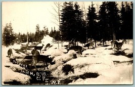 RPPC Winter Landscape Scene Deer Grazing Hulbert Michigan MI 1930 Postca... - £11.36 GBP