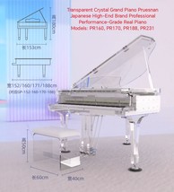 Pruesnan Japanese Brand Professional Performance-Grade Real Piano, Model: PR160 - €22.767,06 EUR