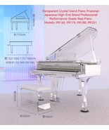 Pruesnan Japanese Brand Professional Performance-Grade Real Piano, Model... - €22.767,06 EUR