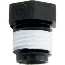 Pentair Sta-Rite WC78-40T 1/4" NPT Plug Replacement Valve and Filter - £12.56 GBP