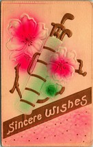 Golf Bag Flowers Airbrushed Embossed High Relief 1910s DB Postcard UNP - £8.54 GBP