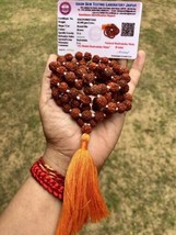 Lab Certified 5 Mukhi Rudraksha Rudraksh Mala Rosary 108+1 Bead Prayer Beads 8mm - £16.15 GBP