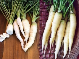 Variety Size Snow White Carrot Beta-Carotene Colorful NON-GMO Seeds - £9.42 GBP+