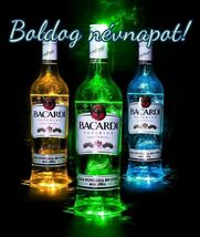 Bacardi Rum Advertising Metal  Sign 8x12in Vintage Mancave Man Cave Liqu... - $34.88 CAD